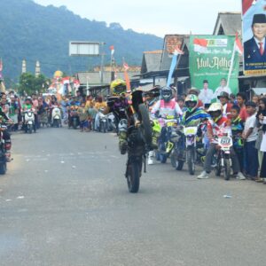 Hiasan dan Karya seni tiap tim atau kelompok karnaval memanjakan mata penonton yang melihat.