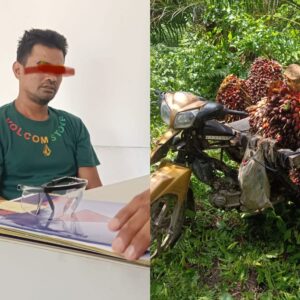 mengetahuinya penangkapan pelaku pencurian tersebut meminta Polisi agar tegas memberikan hukuman.