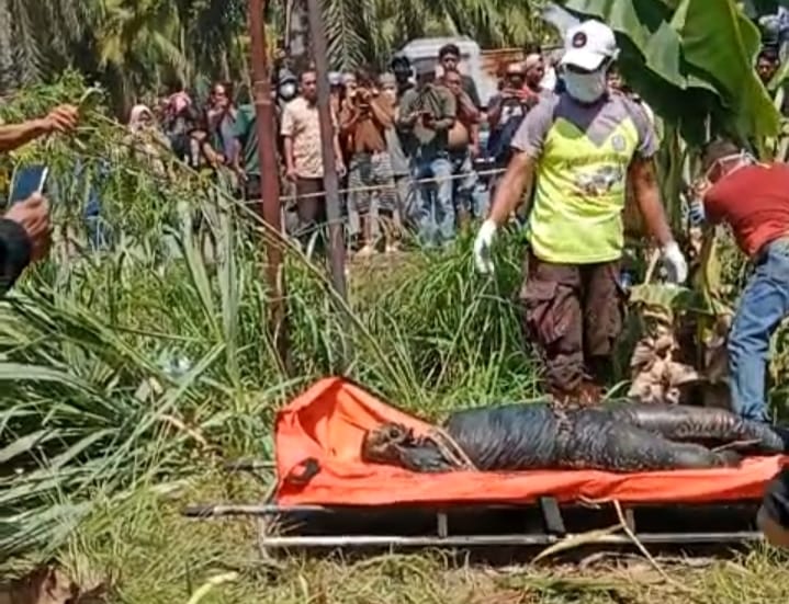 Warga Hinai Dikejutkan Penemuan Sesosok Mayat Pria Membusuk Didalam Parit